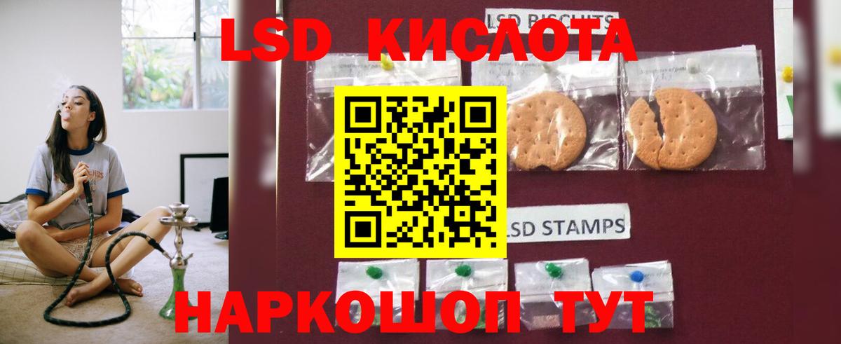 Галлюциногенные грибы Углич