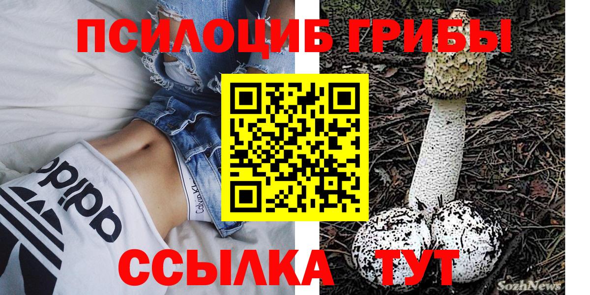Галлюциногенные грибы Psilocybe Углич